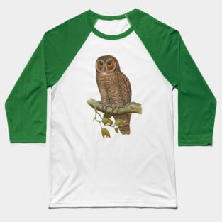 Lonely Owl Realistic Drawing Baseball T-Shirt